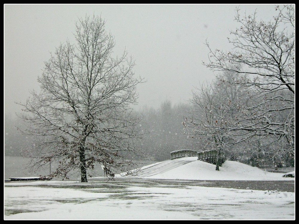 Schnee am See