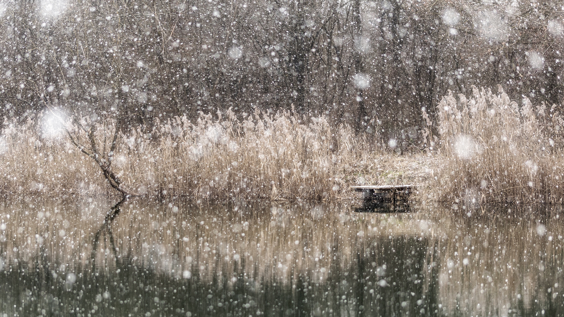 Schnee am See