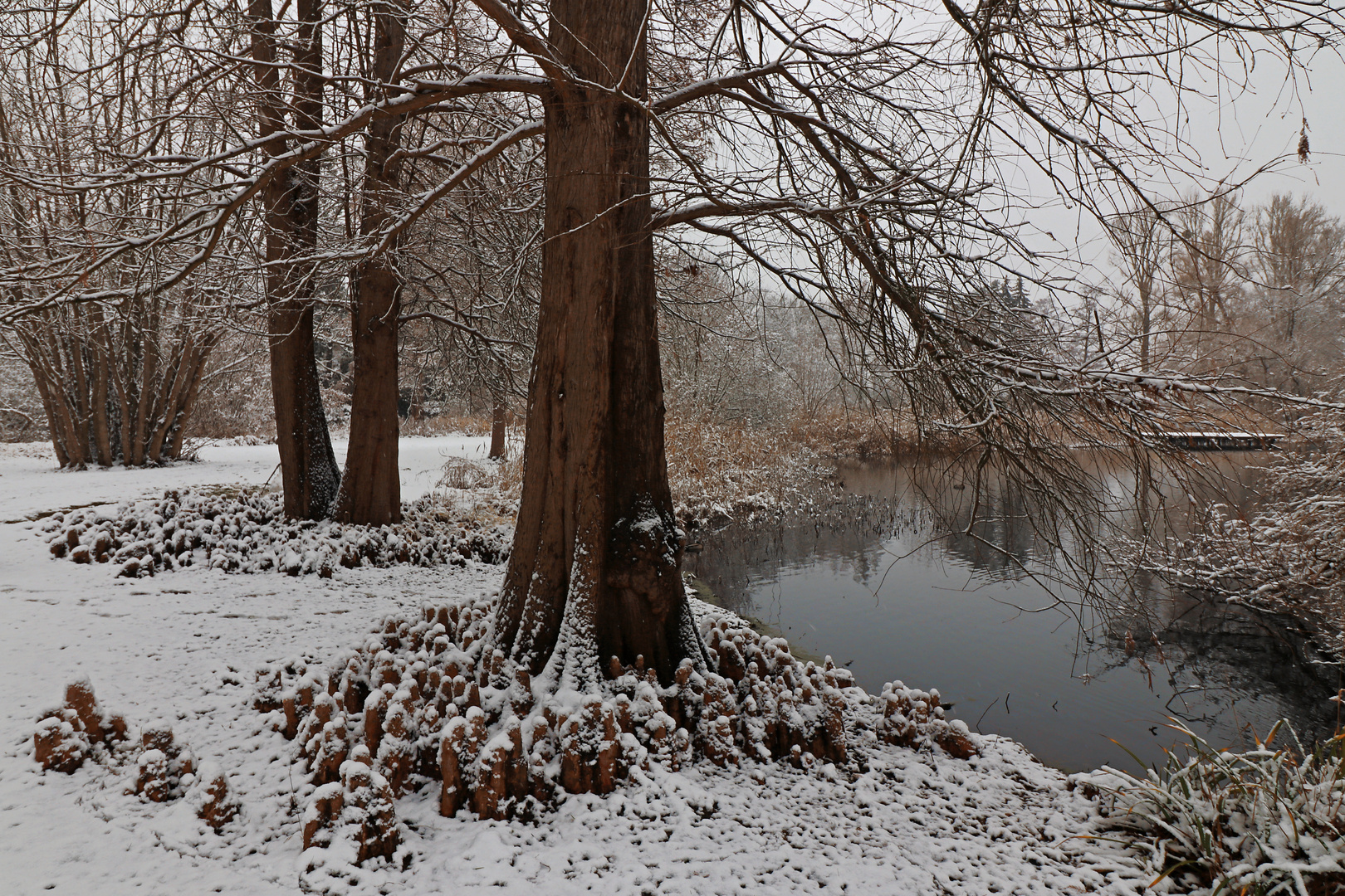 Schnee am Seeufer