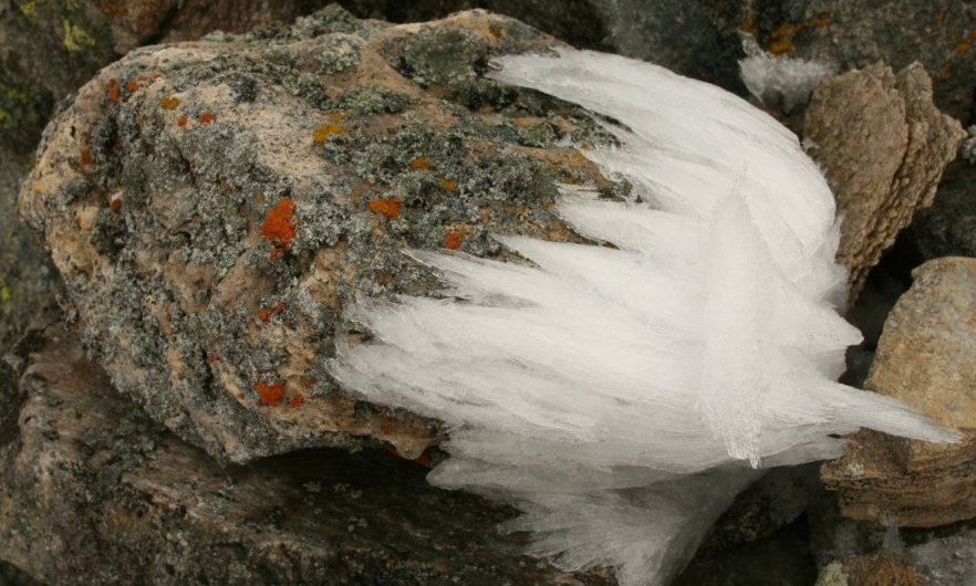 Schnee am Stein von Benno Steiner