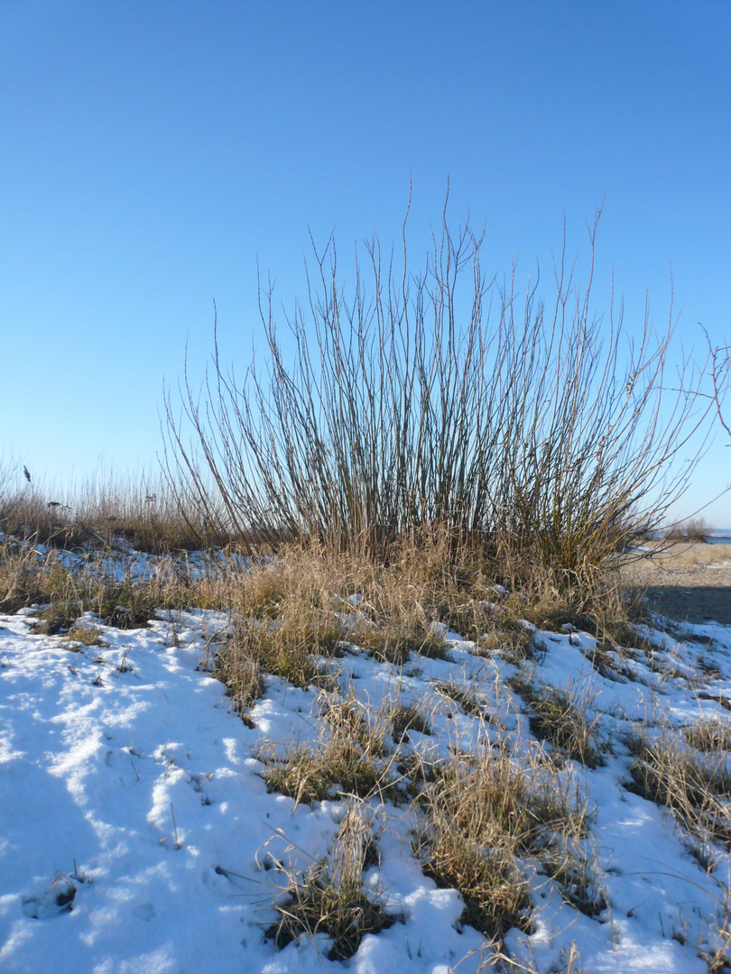 Schnee am Strand