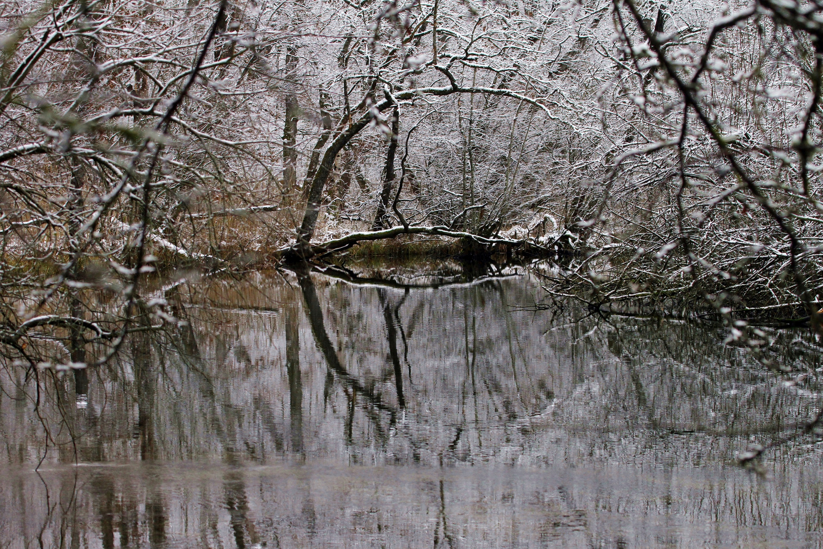 Schnee an Bachlandschaft