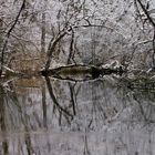 Schnee an Bachlandschaft