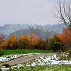 Schnee an der Donau