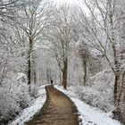 Schnee an der Härtsfeldtrasse