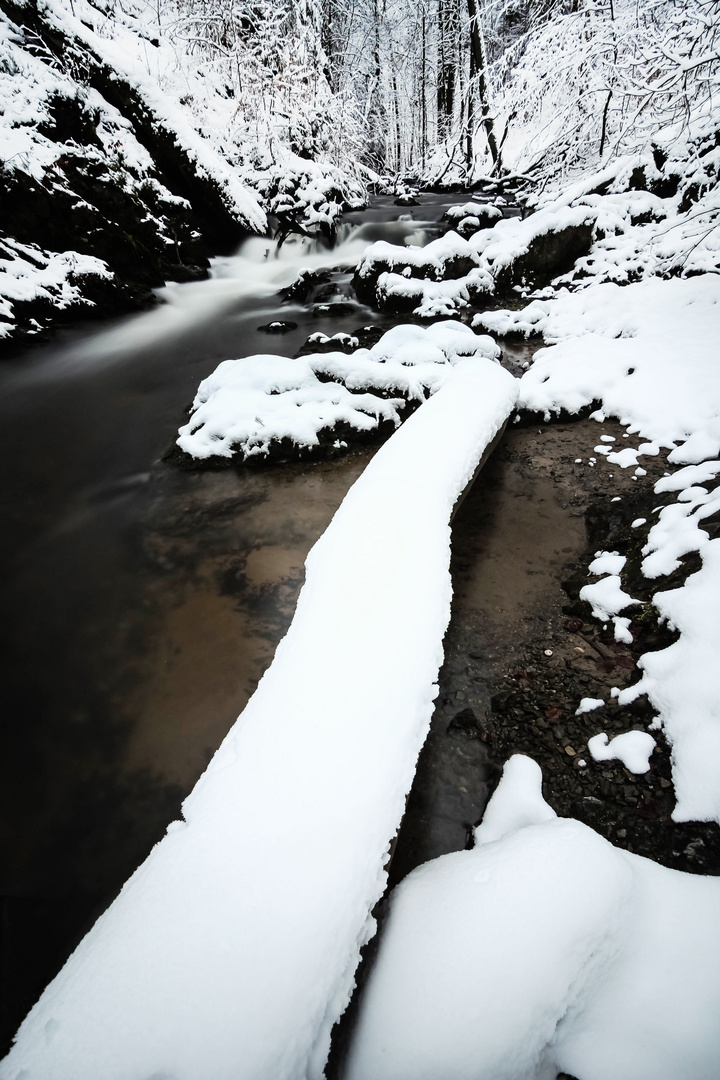 Schnee an der Priesnitz