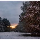 Schnee Anfang November in Hamburg