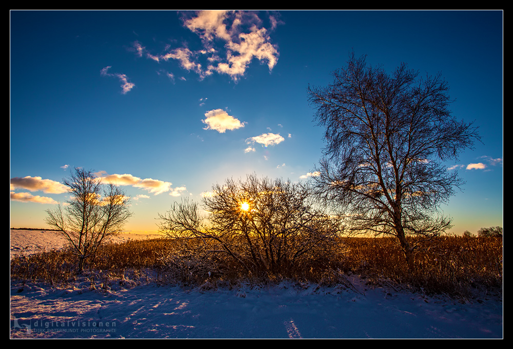 Schnee auf dem Darß /2.