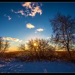 Schnee auf dem Darß /2.