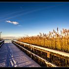 Schnee auf dem Darß /5.