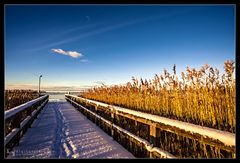 Schnee auf dem Darß /5.