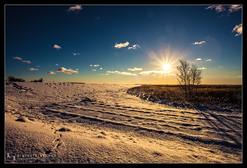 Schnee auf dem Darß /6.