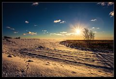 Schnee auf dem Darß /6.