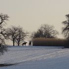 Schnee auf dem Dinkelberg