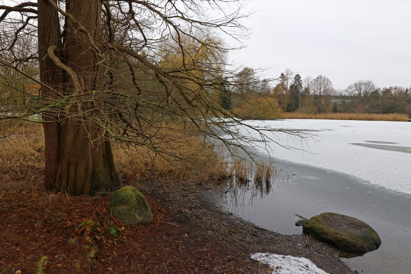 Schnee auf dem Eis