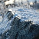 Schnee auf dem Feldberg