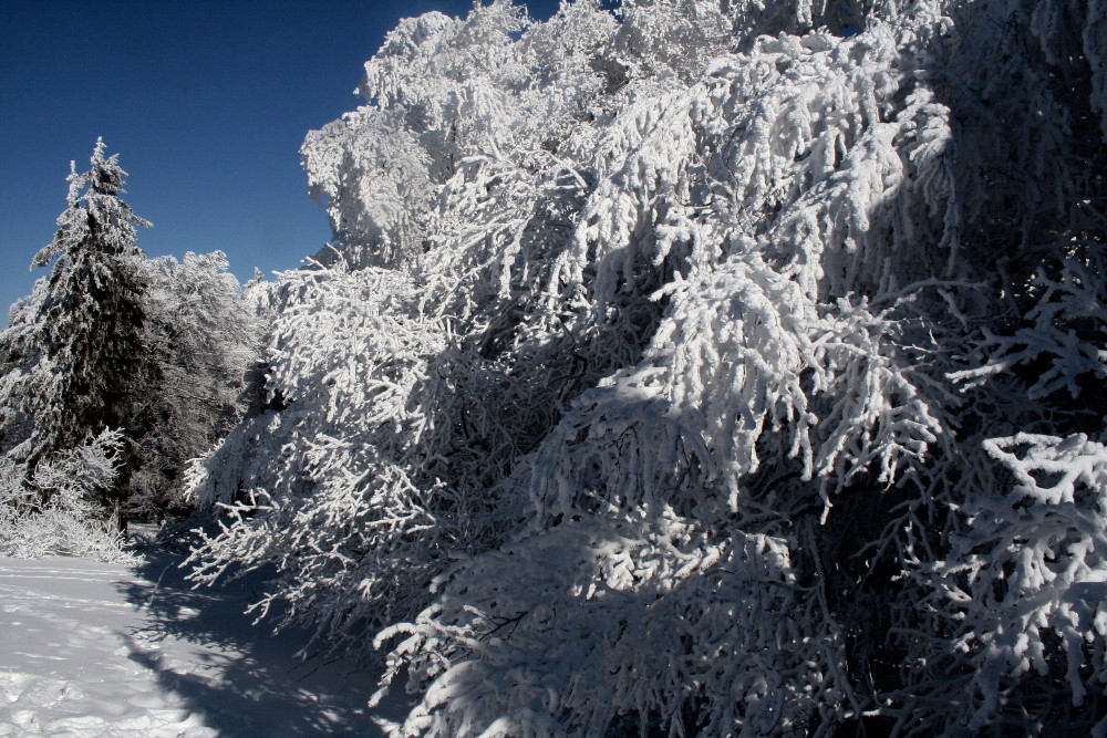 Schnee auf dem Feldberg