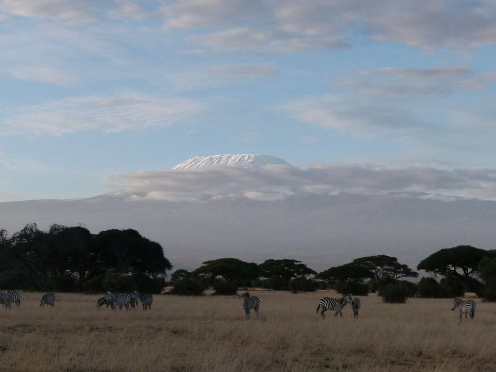 Schnee auf dem Kilimandscharo