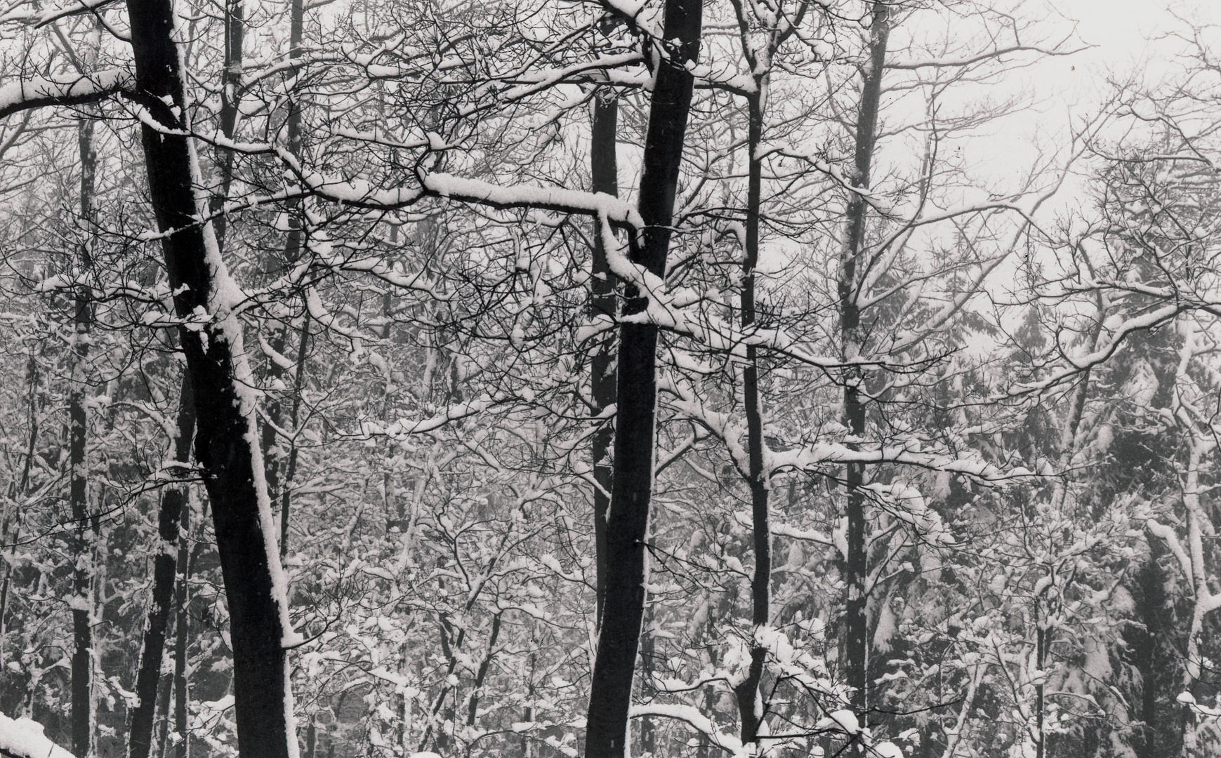 Schnee auf dem Roque von La Palma