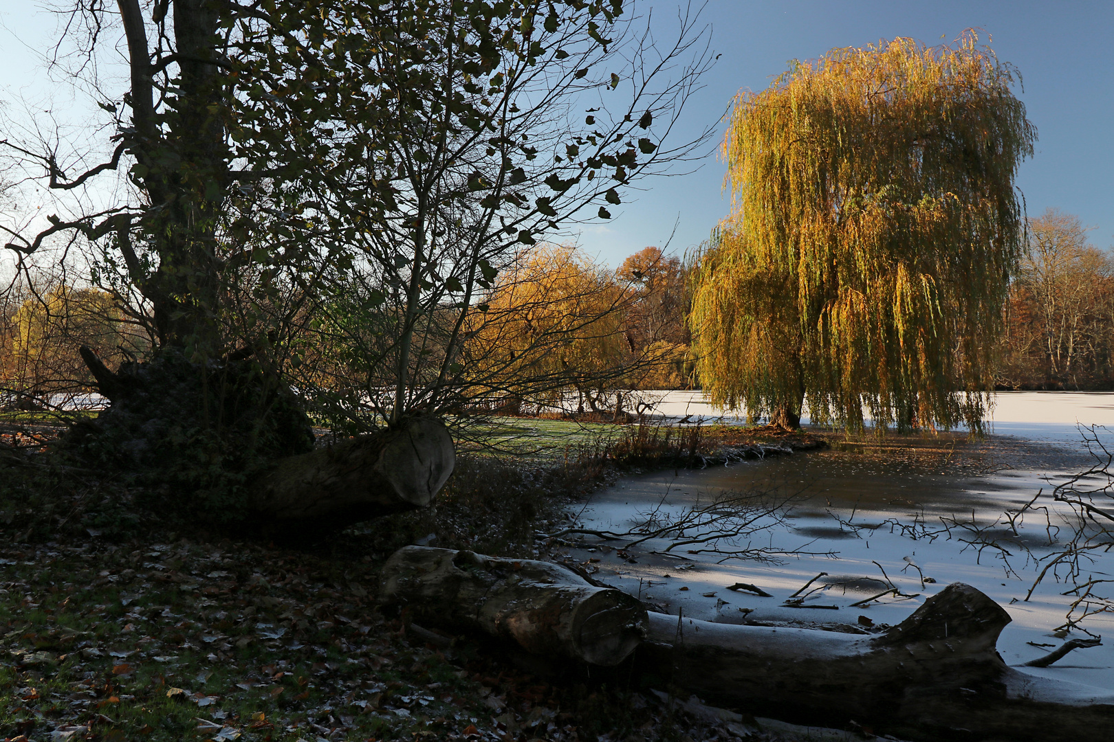 Schnee auf dem Südteich