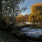 Schnee auf dem Südteich