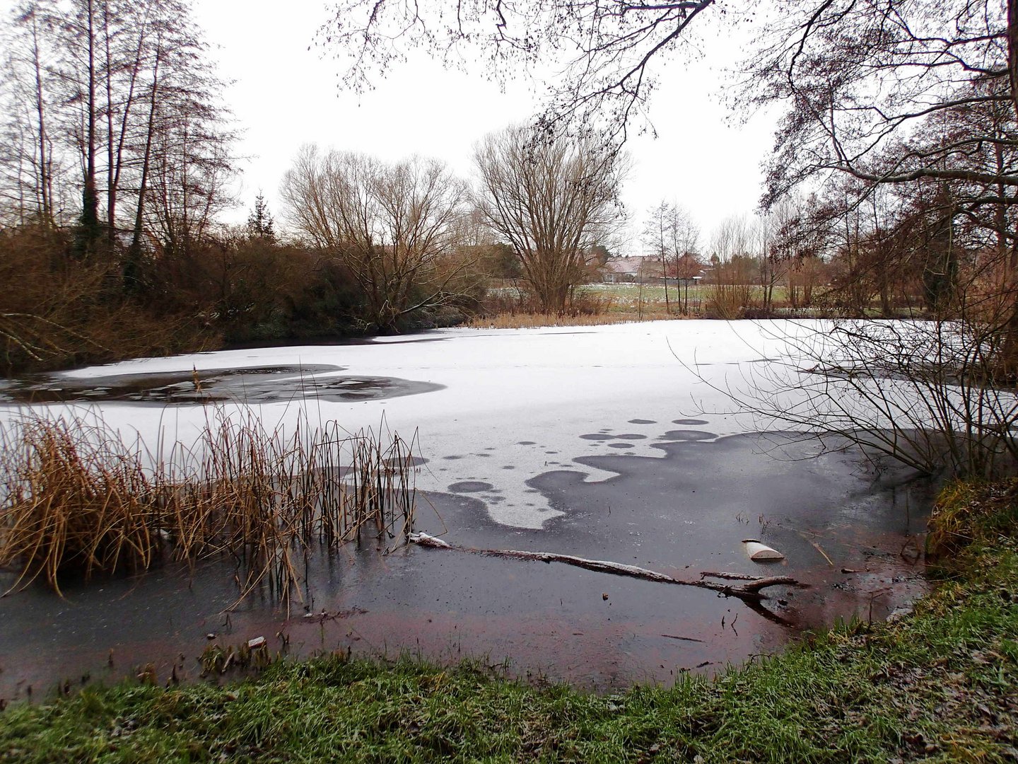 Schnee auf dem Teich