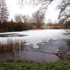 Schnee auf dem Teich