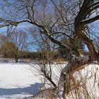 Schnee auf dem Teich