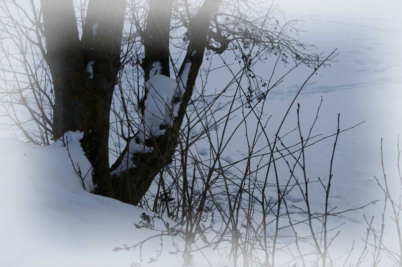 Schnee auf dem Weiher