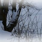 Schnee auf dem Weiher