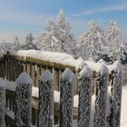 Schnee auf dem Wurmberg