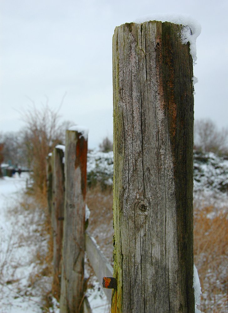 Schnee auf dem Zaunpfahl