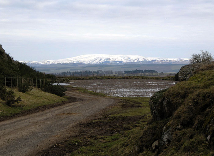 Schnee auf den Cheviots