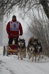 Schnee auf den letzten Drücker