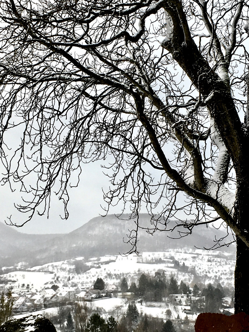 Schnee auf der Achalm 