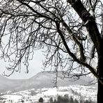 Schnee auf der Achalm 