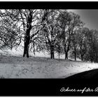 Schnee auf der Alb 1