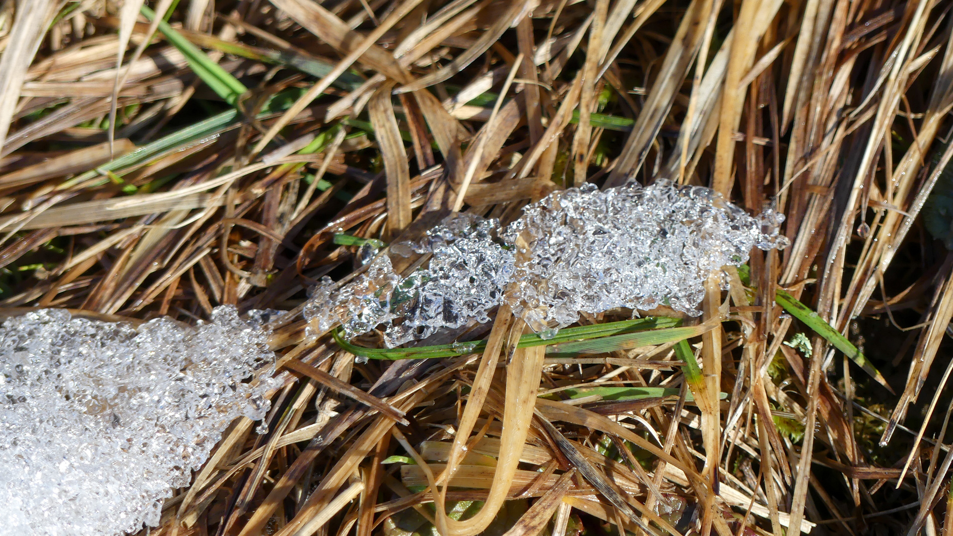 Schnee auf der Flucht nach dem Winter