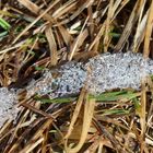 Schnee auf der Flucht nach dem Winter