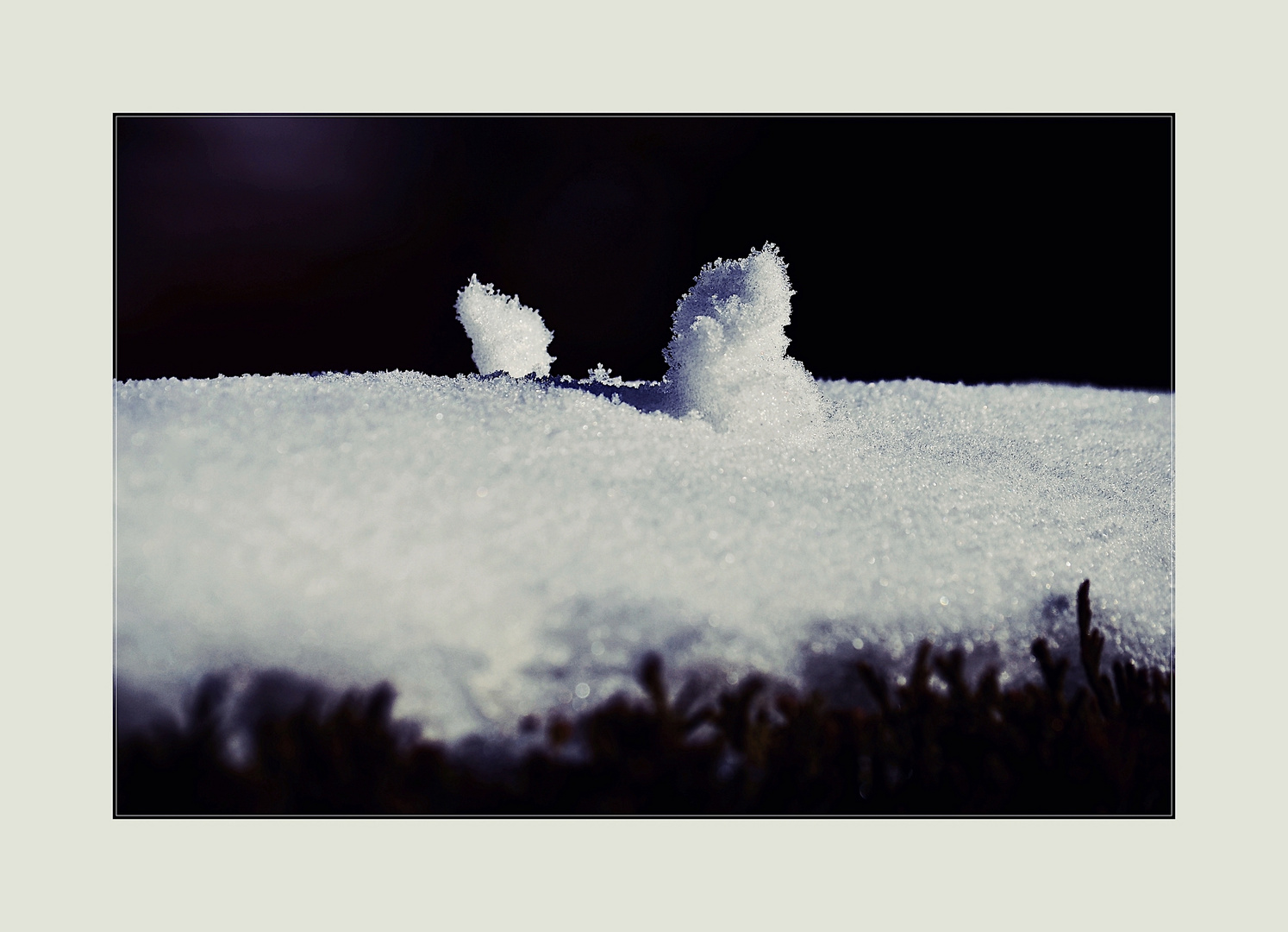 Schnee auf der Hecke