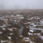 Schnee auf der Hornisgrinde