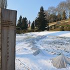 Schnee auf der Mainau , Mainau im Februar