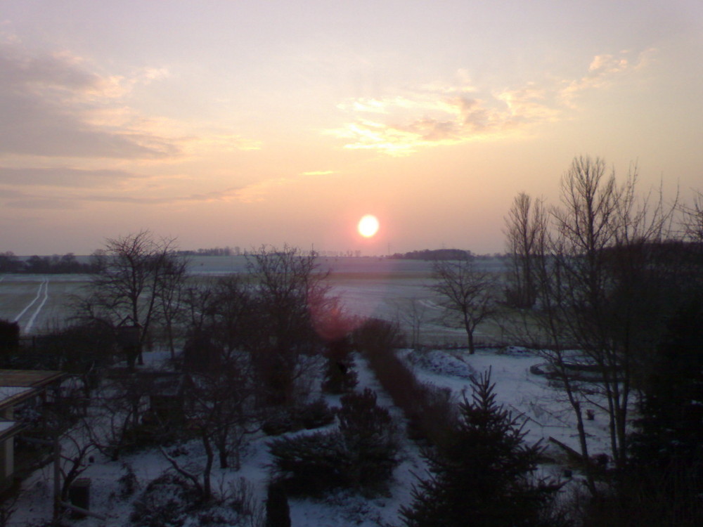 Schnee auf einem grünen Feld