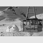 "Schnee" bär am Nebelhorn