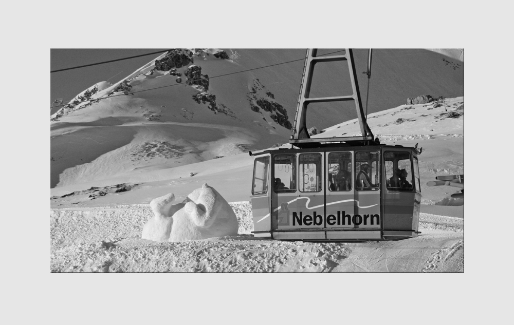 "Schnee" bär am Nebelhorn