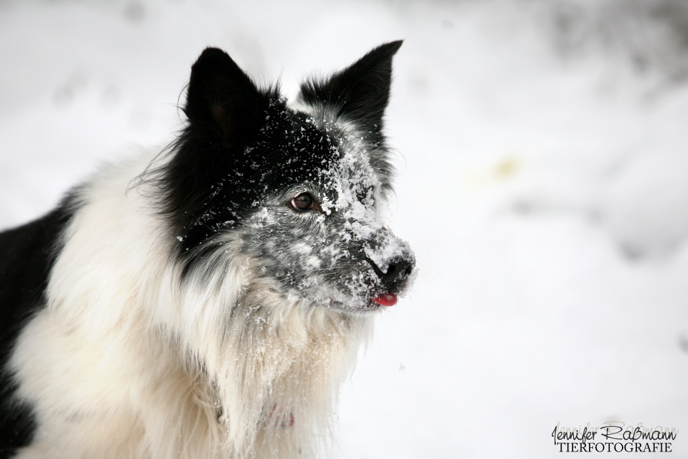 Schnee BALL weg...