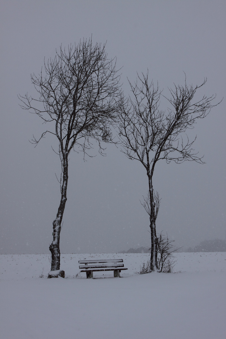 Schnee, Baum, Bank