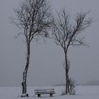 Schnee, Baum, Bank