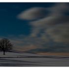 Schnee, Baum und Vollmond