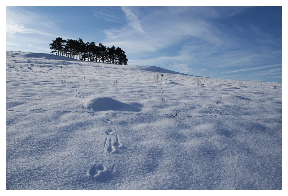 Schnee...